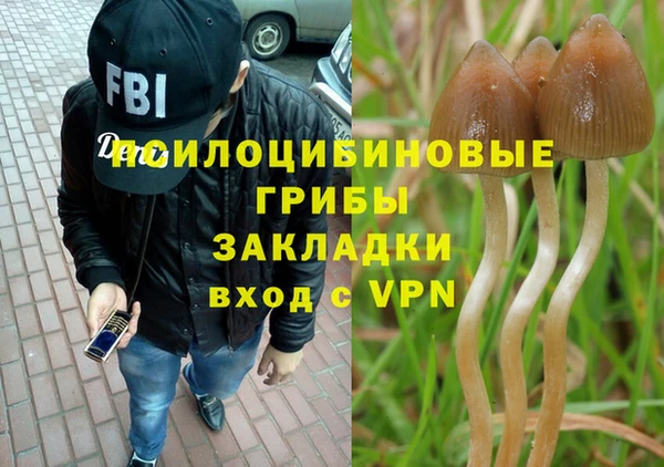 гидропоника Алексин