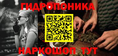 хмурый Малгобек