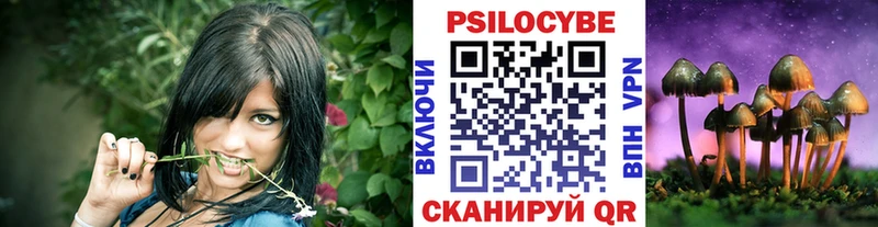 Галлюциногенные грибы прущие грибы  Тихвин 