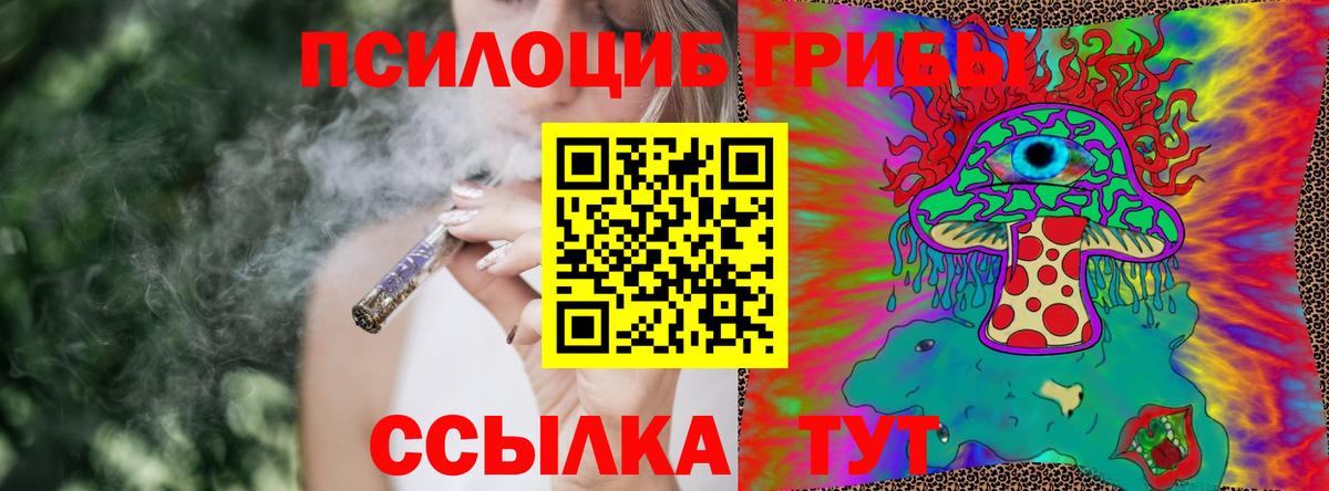 Галлюциногенные грибы Cubensis  купить закладку  Тихвин  Галлюциногенные грибы Cubensis  Вход с VPN 